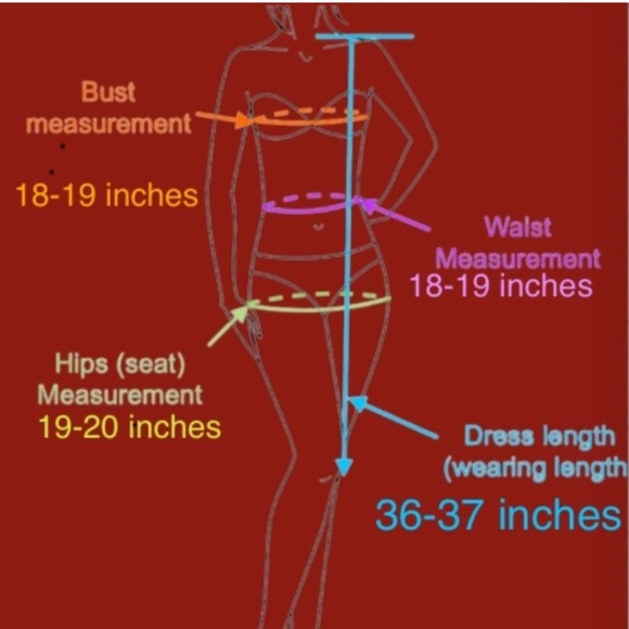 Multi-Color Horizontal Stripe Shift Dress Adjustable Belt - Picture 11 of 11